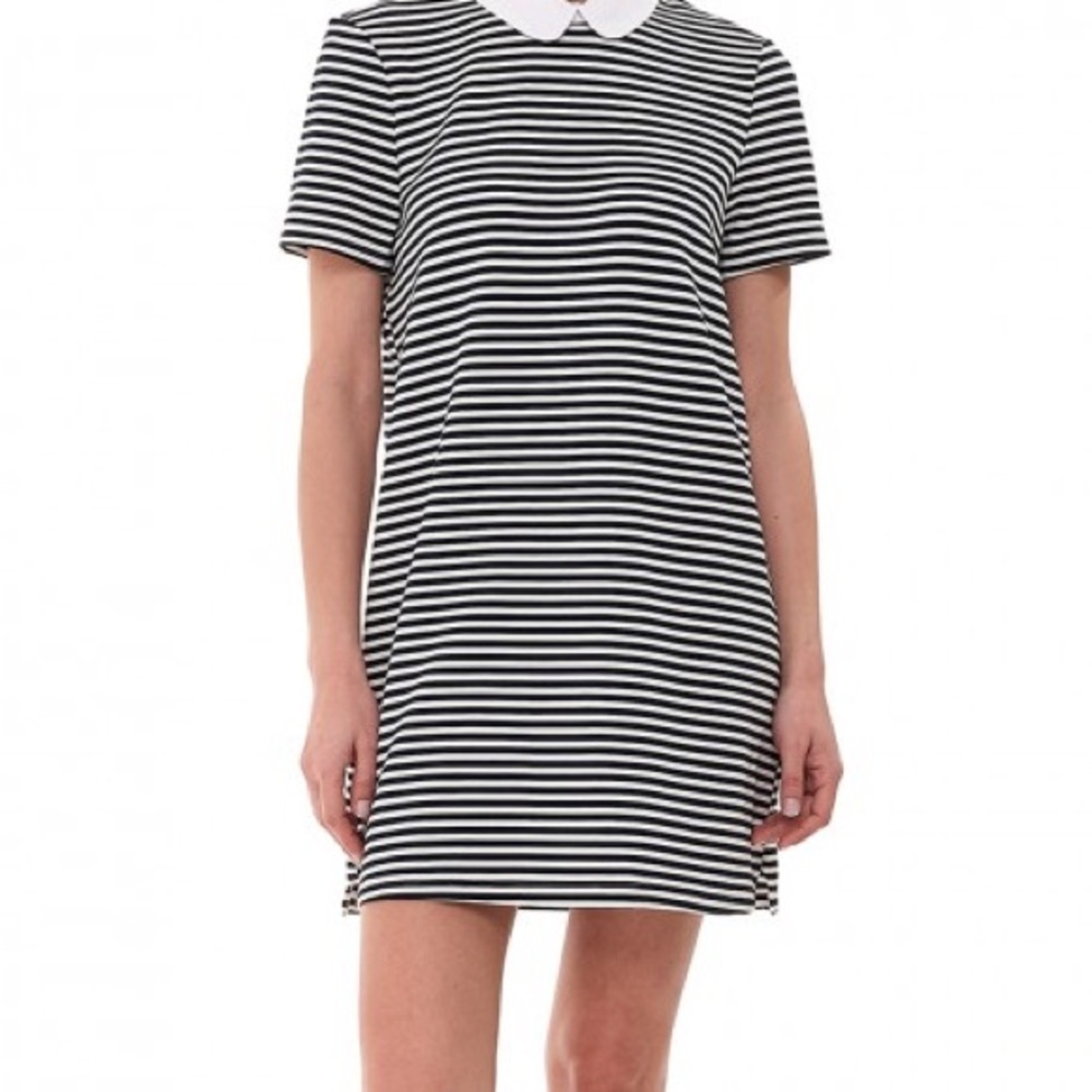 Zara Black and White Striped Mini Dress